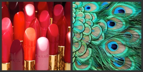 chanel-lipstick-peacock-feathers chanel-lipstick-peacock-feathers